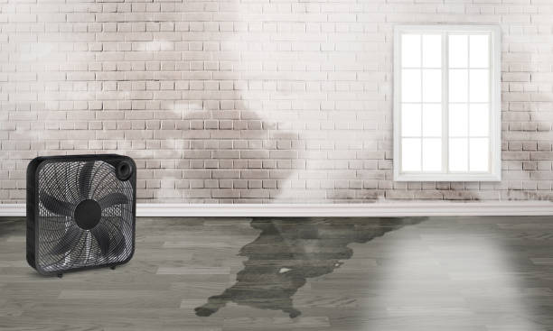 Best 24/7 water damage repair  in Beach Haven West, NJ