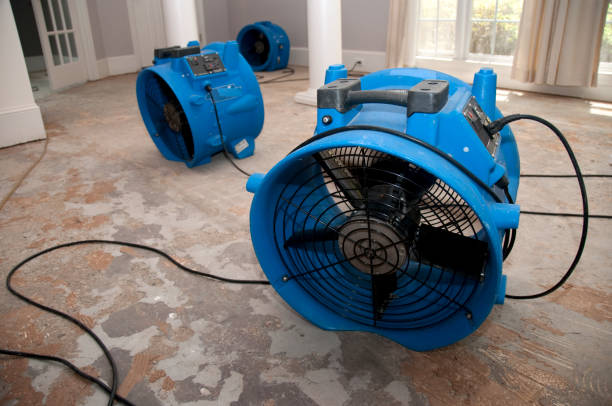 Best Flood restoration services  in Beach Haven West, NJ