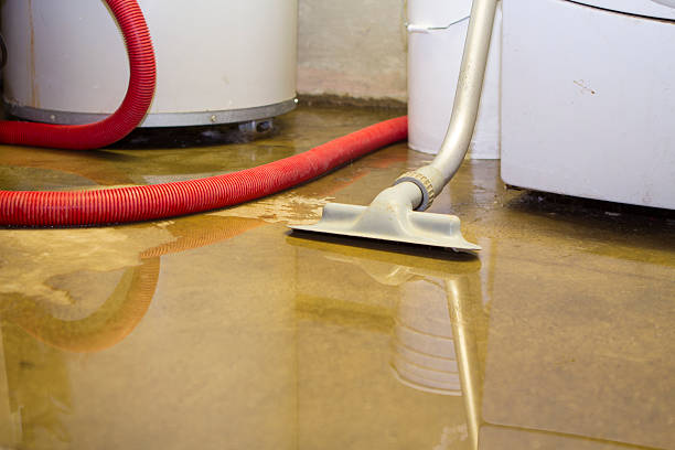 Best Commercial water damage restoration  in Beach Haven West, NJ