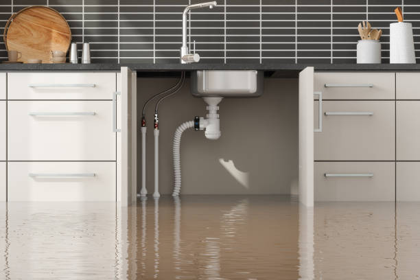  Beach Haven West, NJ Water damage restoration Pros
