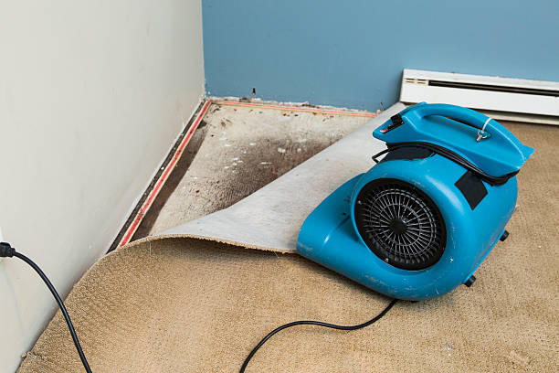 Best Residential water damage restoration  in Beach Haven West, NJ